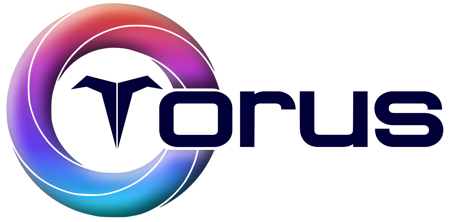 toruschain-black