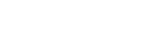 FVM Global Logo